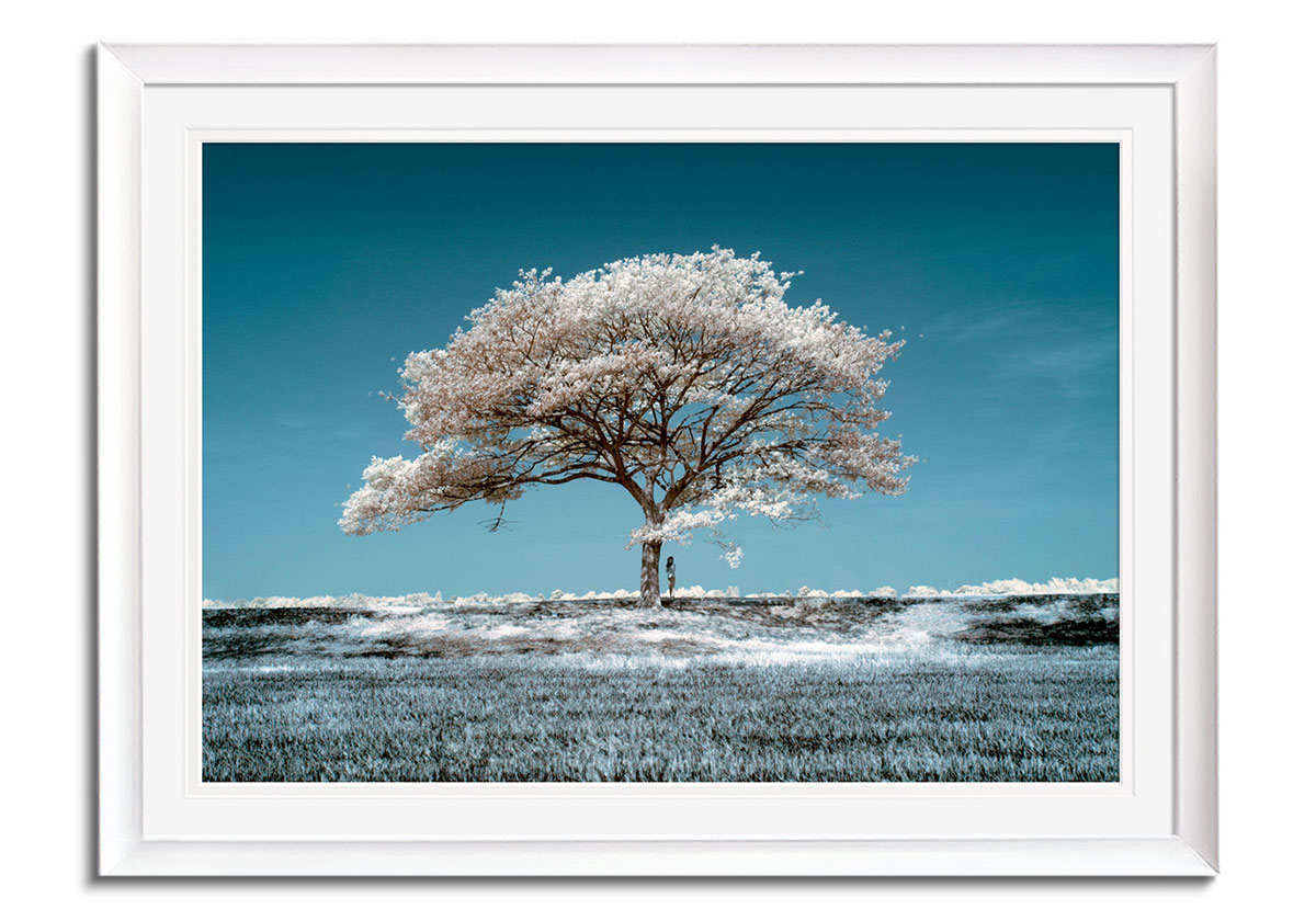 Wind beneath the Tree  by 