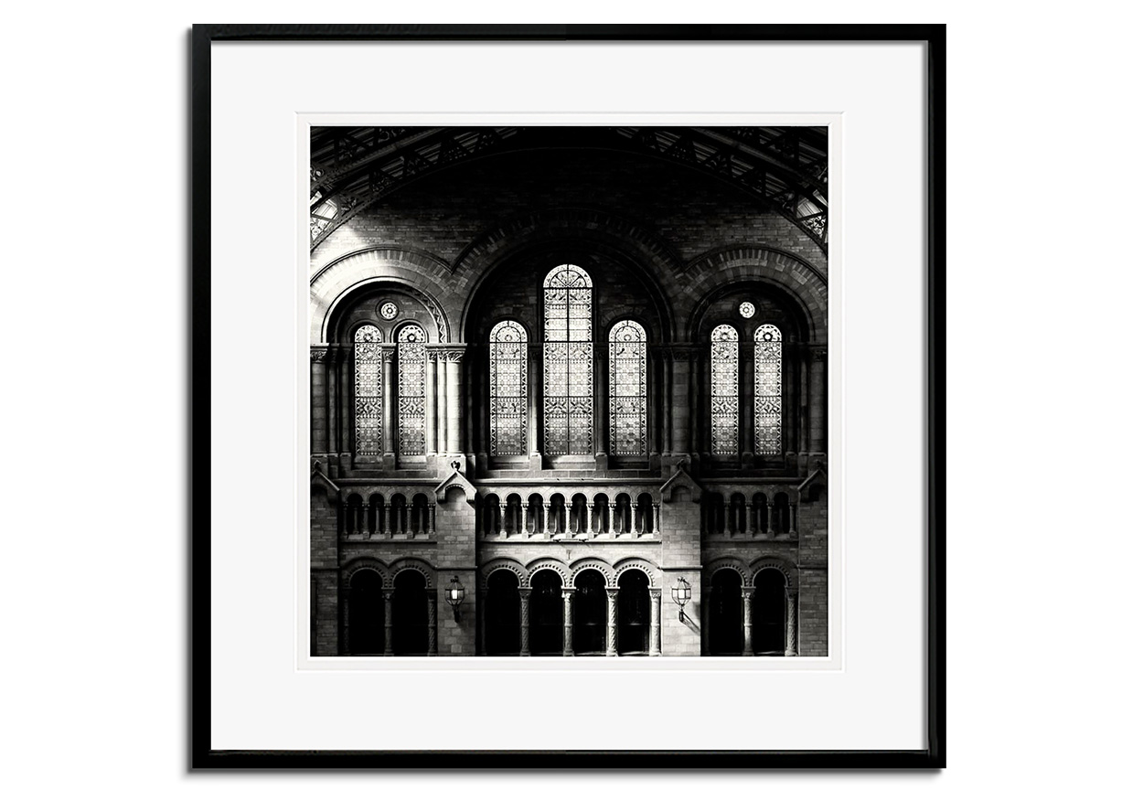 Natural History Museum by 