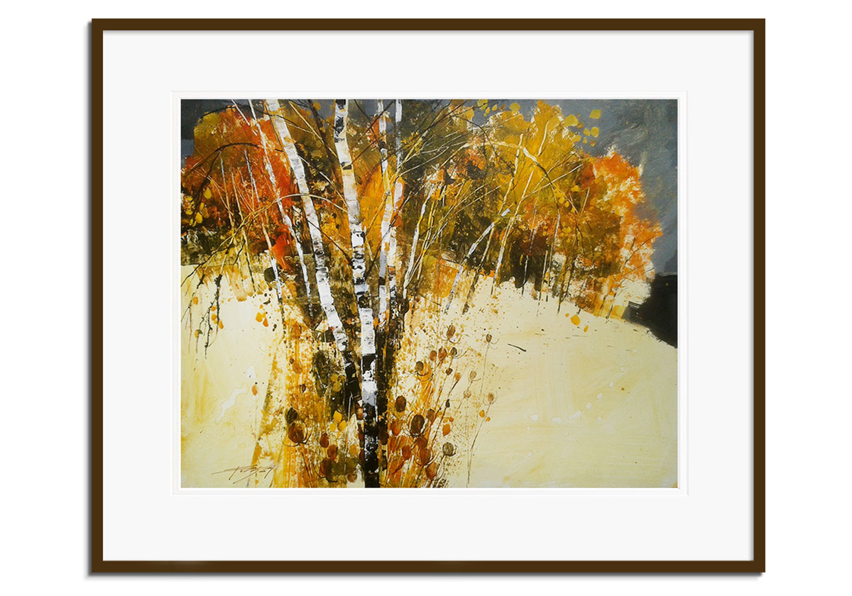 Autumn Birch by 