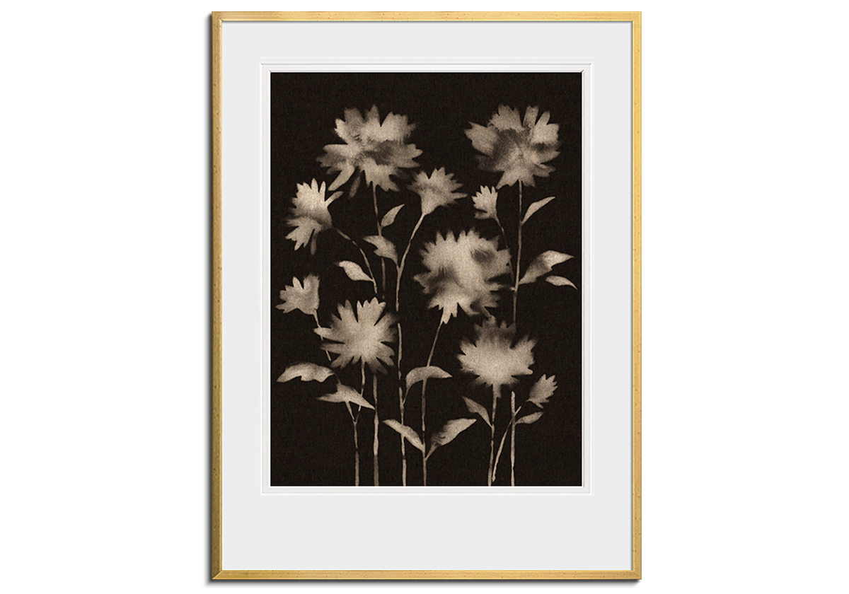 Dusky Daisies by 