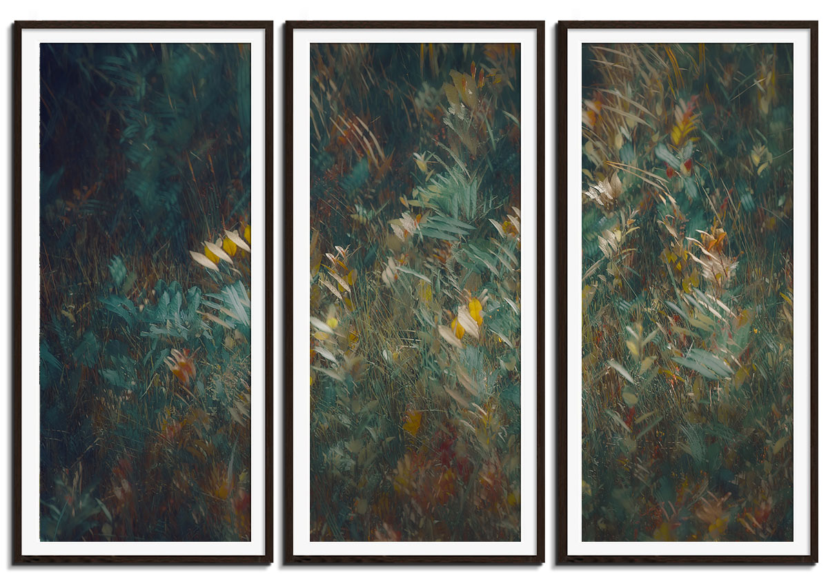 Moving Leaves by 