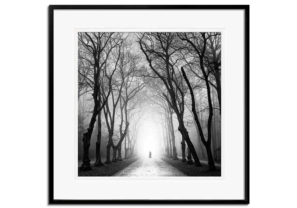Cyclist by 