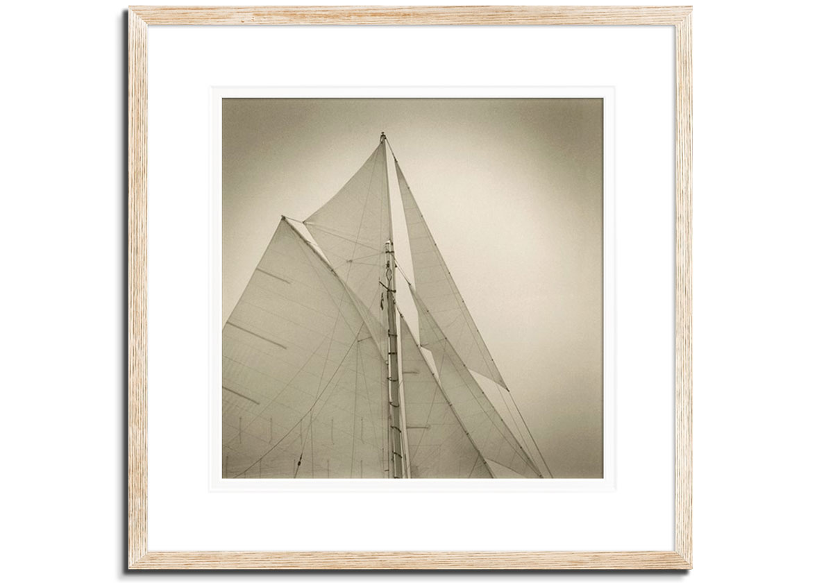 Sails of Friendship Sloop  by 