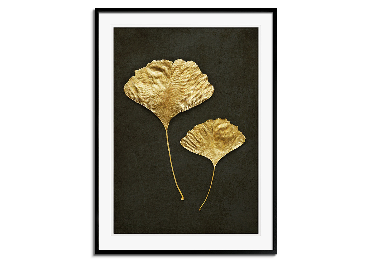 Gold Ginkgo by 