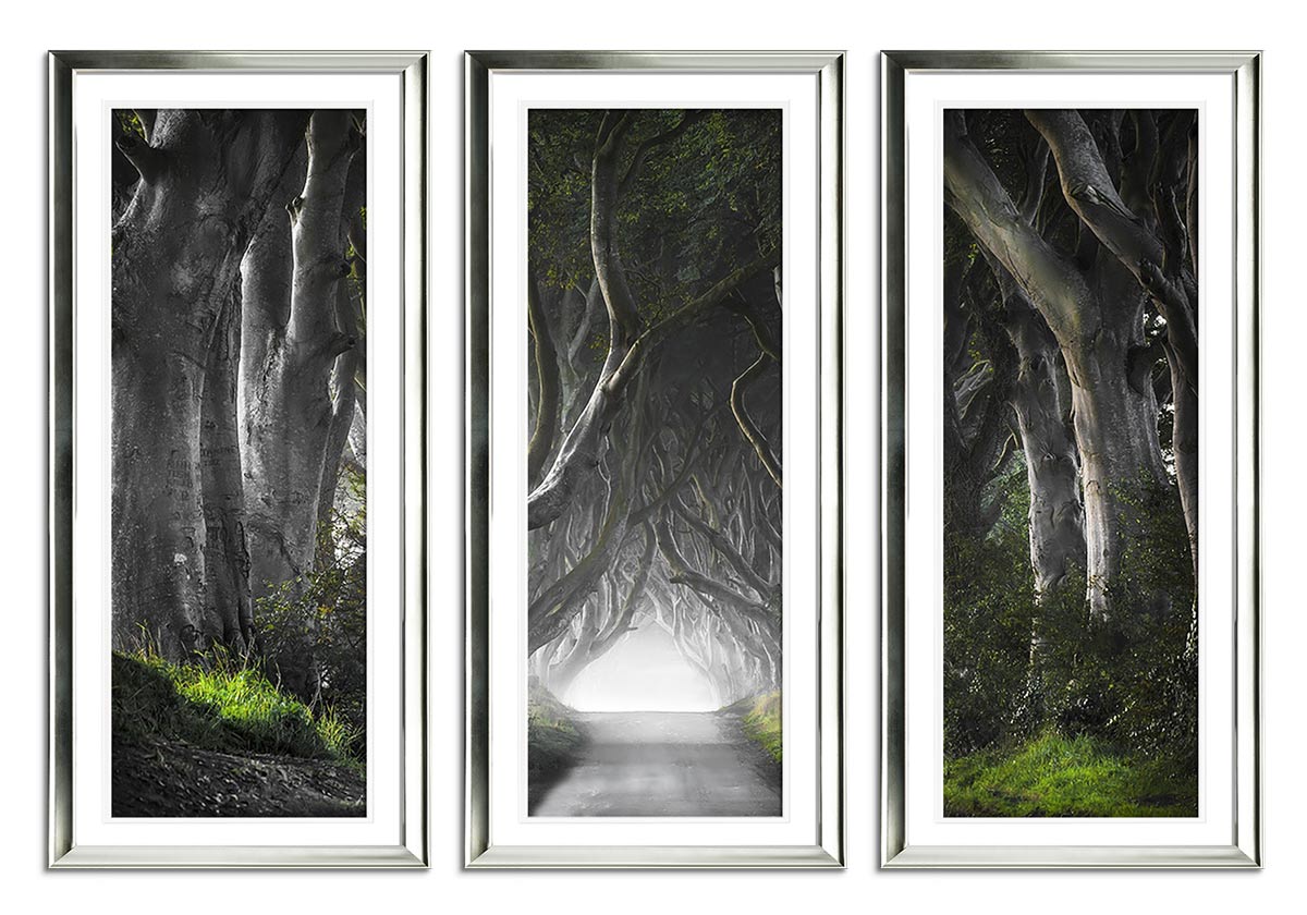 Dark Hedges by 