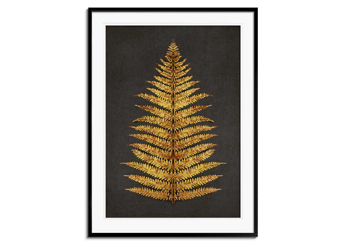 Autumn Fern Leaf by 