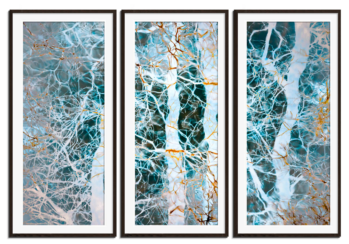 Winters Solace 2 by 