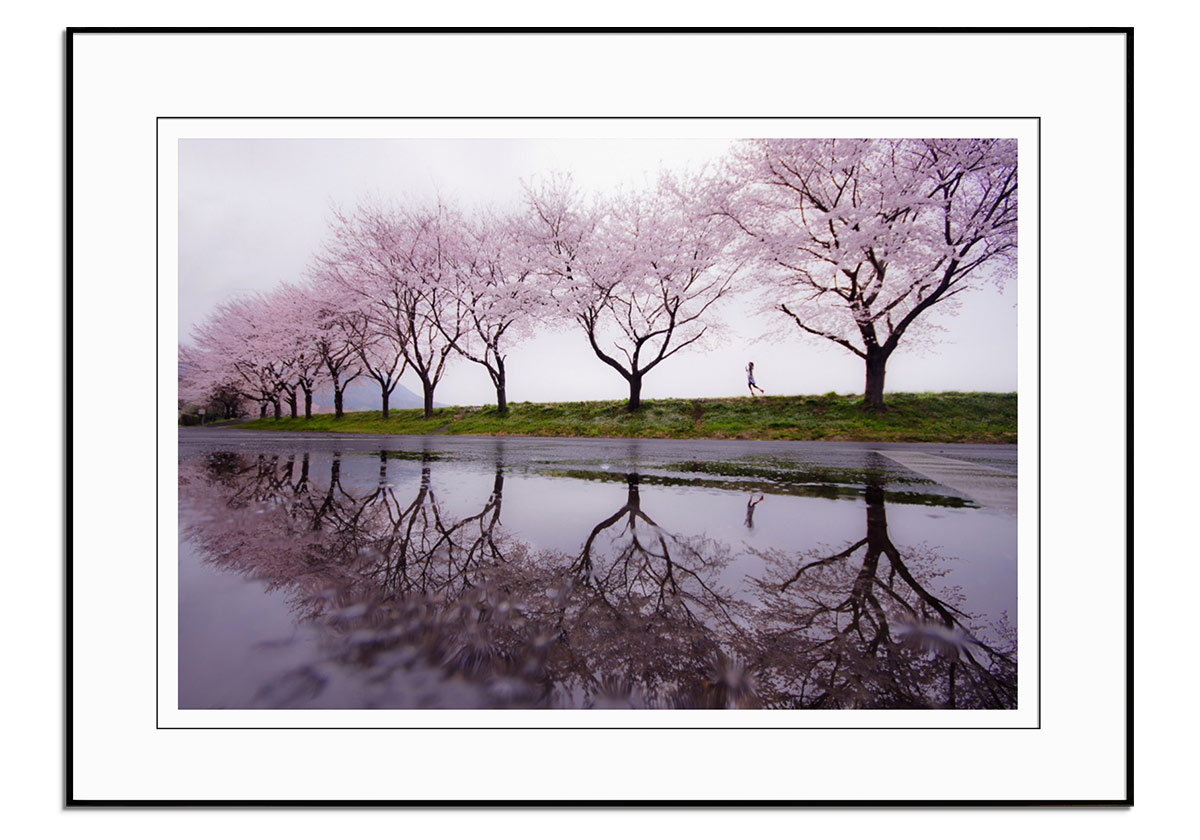 Rain of Spring by 