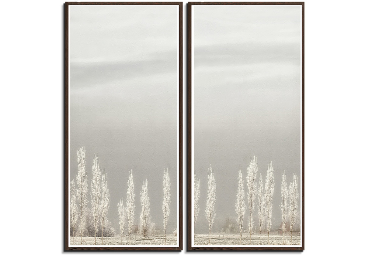 Silent World by 