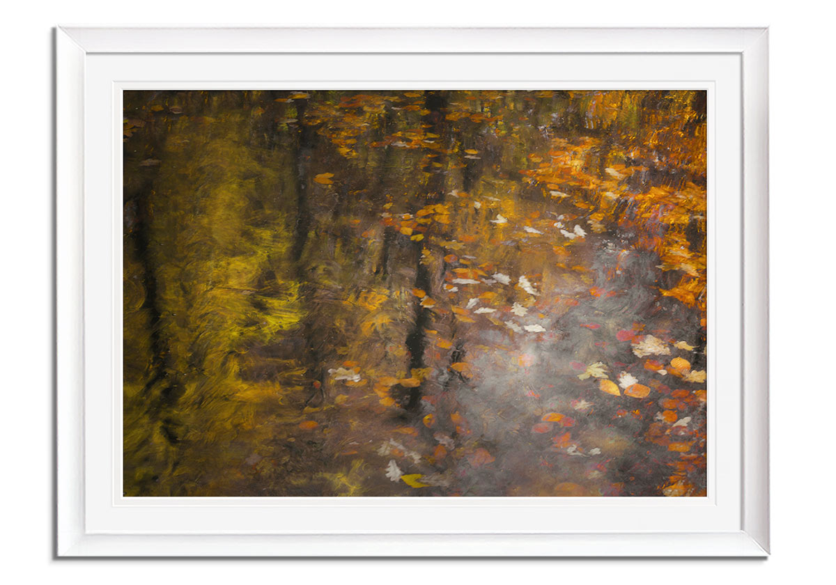 Autumn Impression  by 