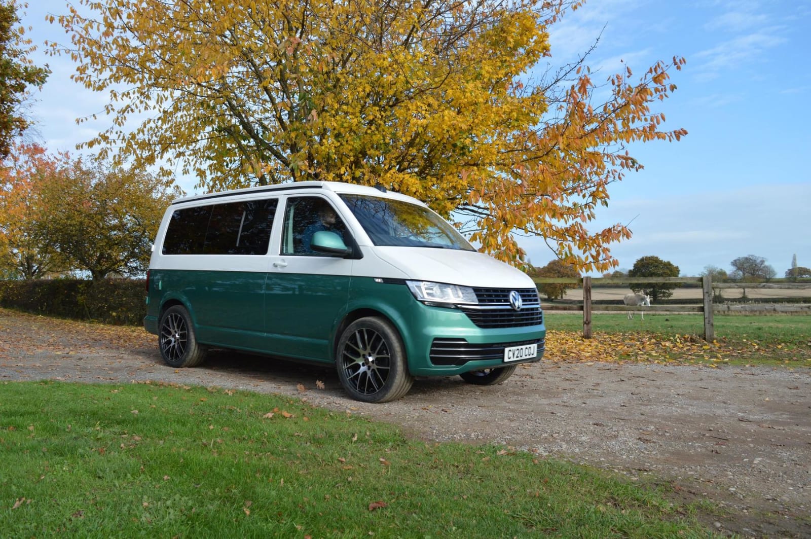 Vw Campervan T6.1 Candy White & Bay Leaf Green Swb