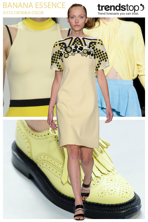 catwalk-color-women-s-ss-2015-ss15_4banana