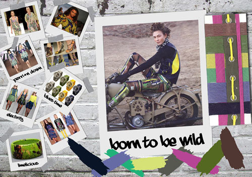 designoptions-ss12_wcolor3