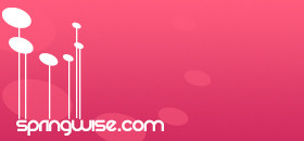 Springwise ss10 promo