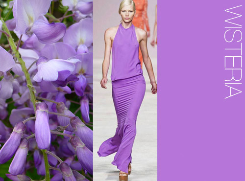 trendcouncil-ss14_7color