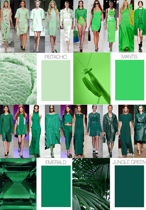 trendcouncil-ss15_3coolcolor