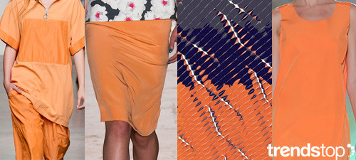 trendstop-tropical_color1