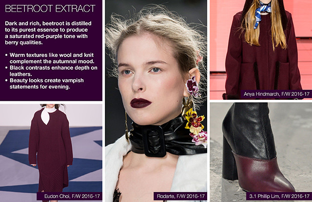 #Trendstop on #WeConnectFashion, Key Women's Catwalk Color FW 16/17: Beetroot Extract
