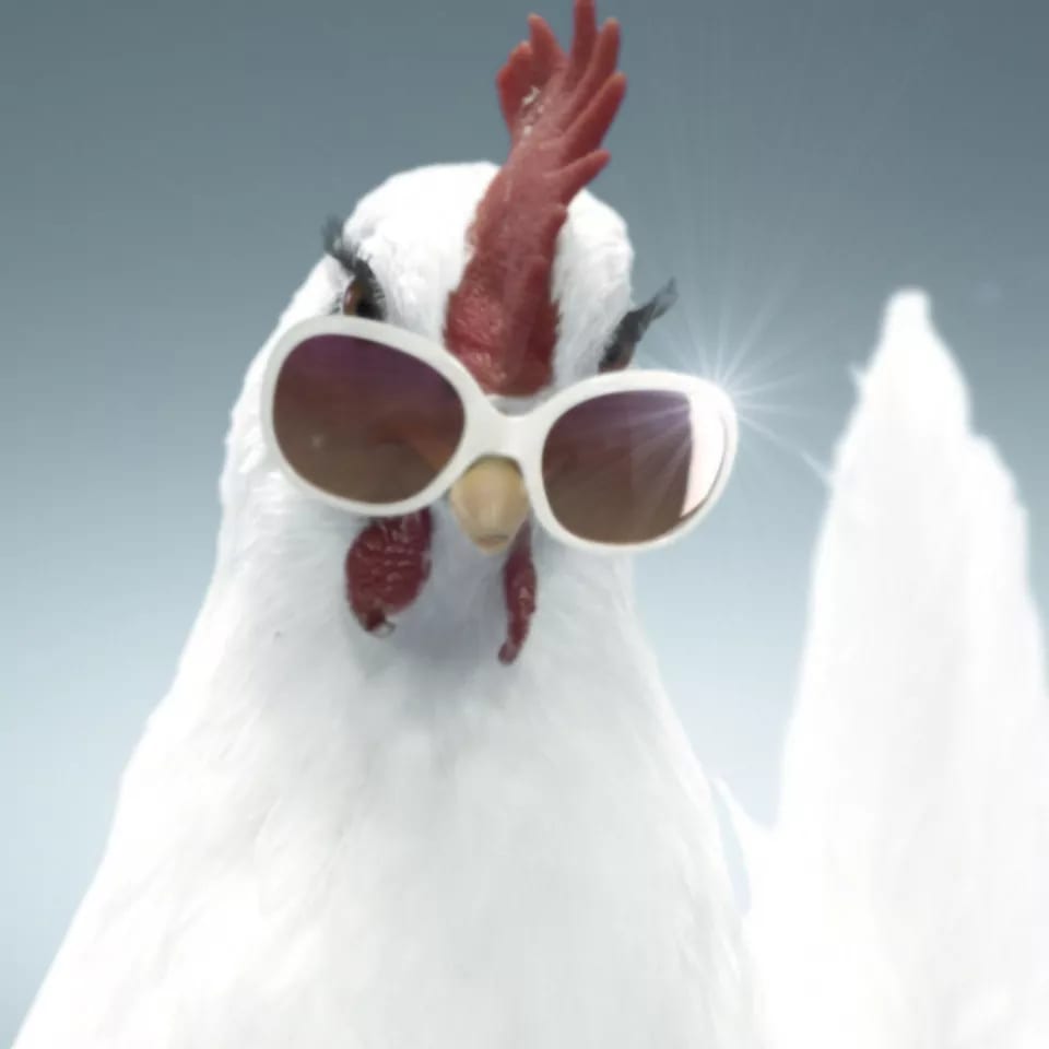 Hahn mit Sonnenbrille