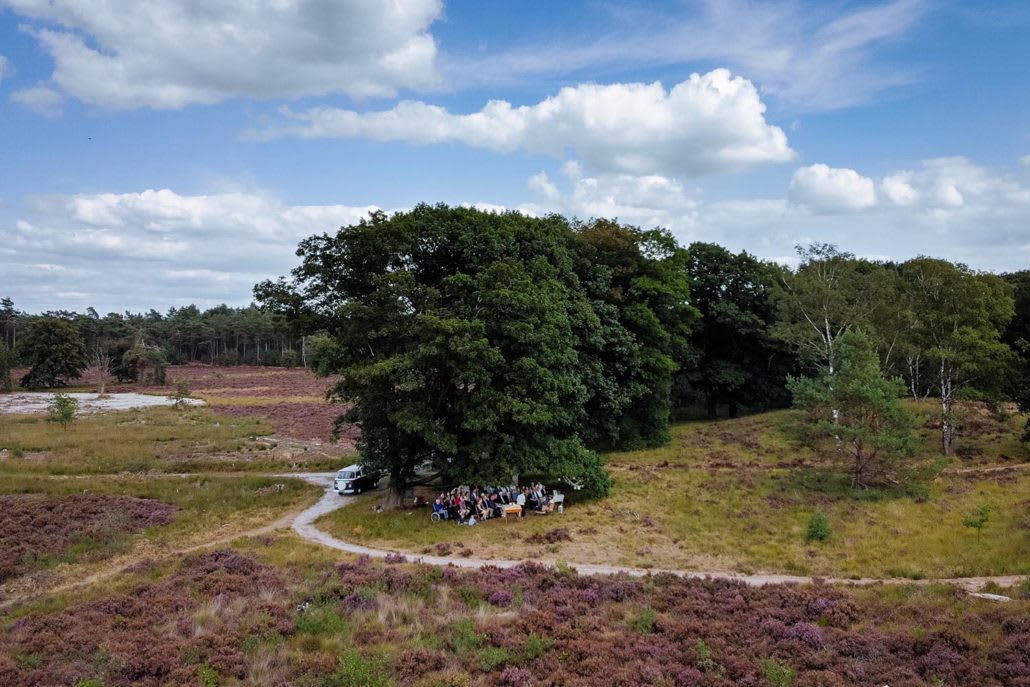 trouwen-op-de-hei-bij-de-veluwe