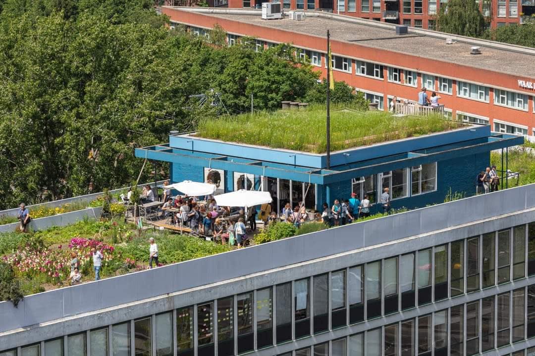 bovenaanzicht-lunchroom-teds-rotterdam-op-het-dak