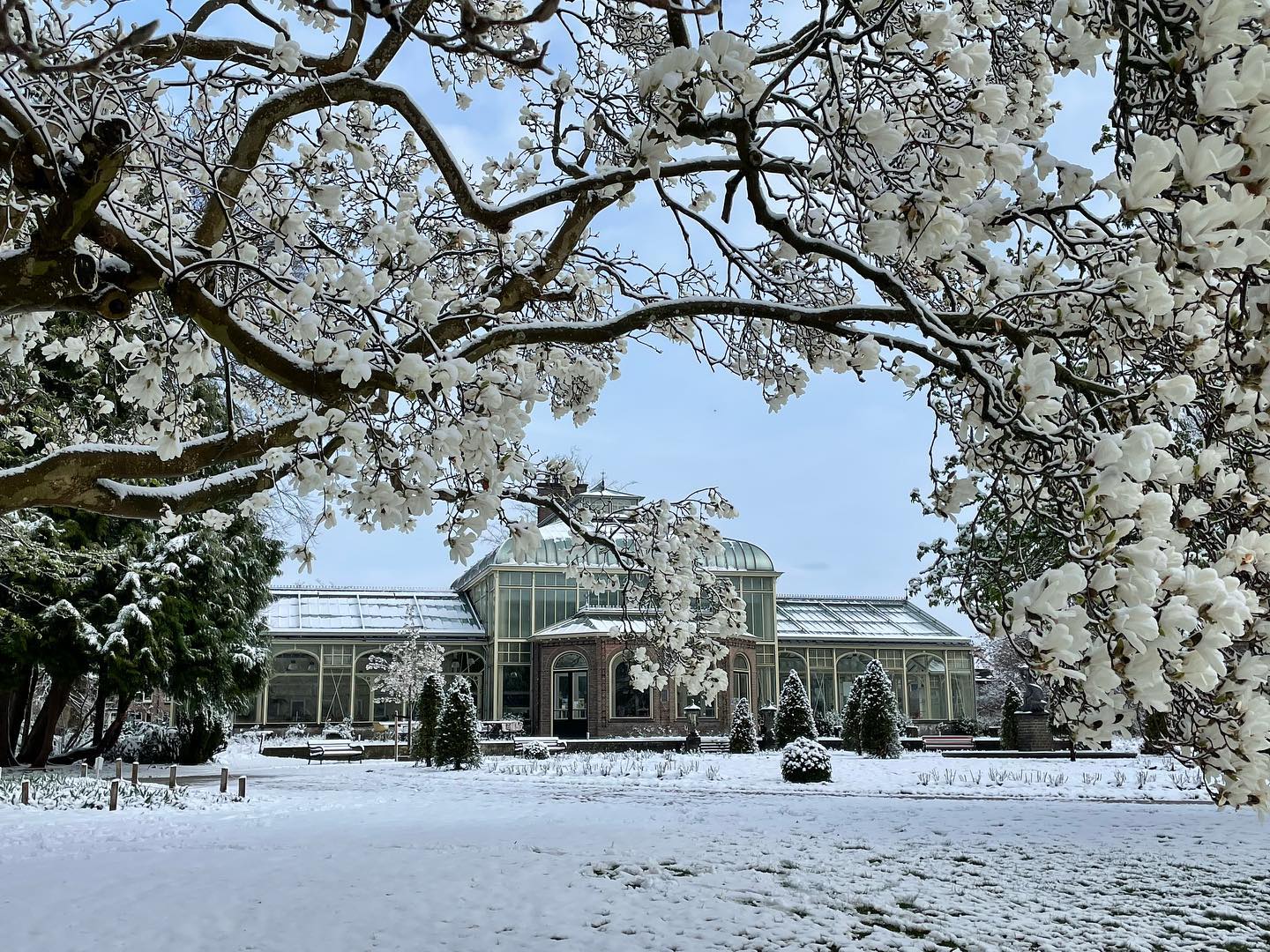 trouwlocatie-de-wintertuin-sneeuw-cantonspark