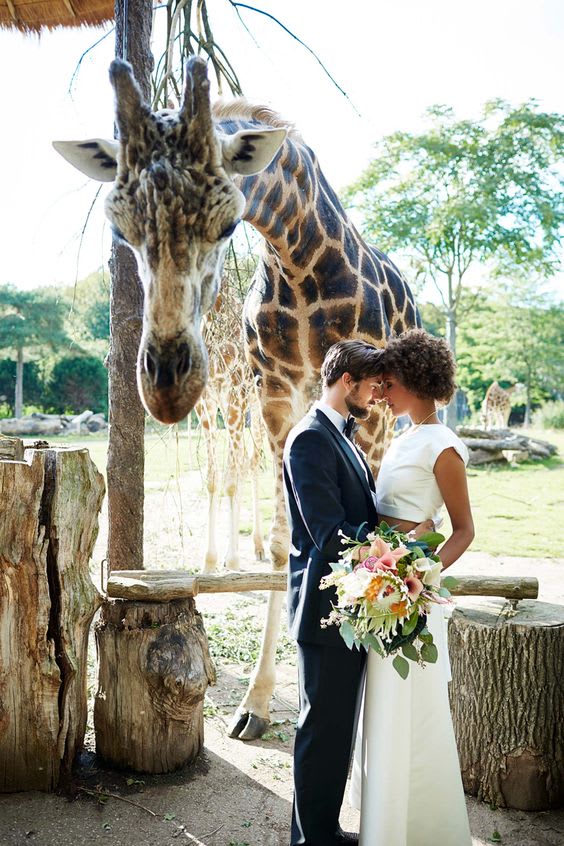 trouwreportage-in-dierentuin-bruidspaar-bij-giraf