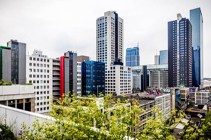 skyline-rotterdam-vanaf-teds-op-het-dak