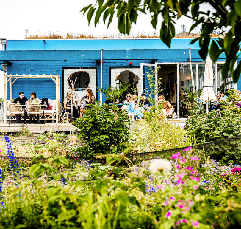 dakterras-trouwlocatie-teds-rotterdam