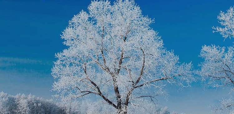 No esperes a las vacaciones para escaparte