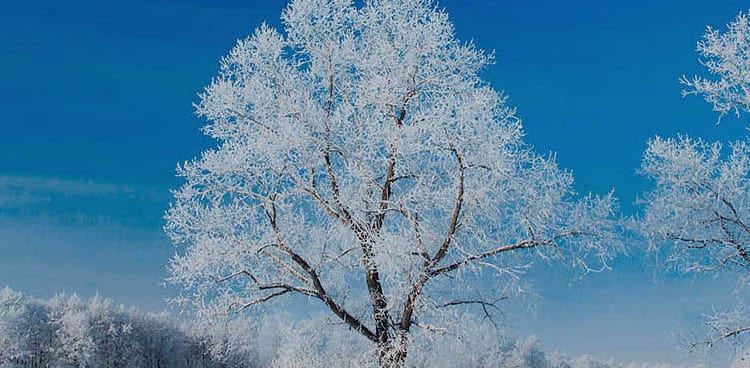 No esperes a las vacaciones para escaparte