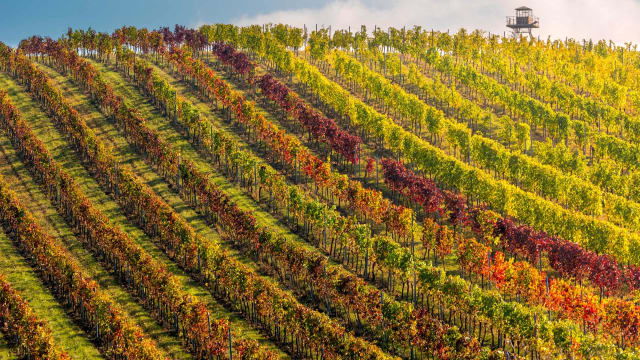 La Rioja