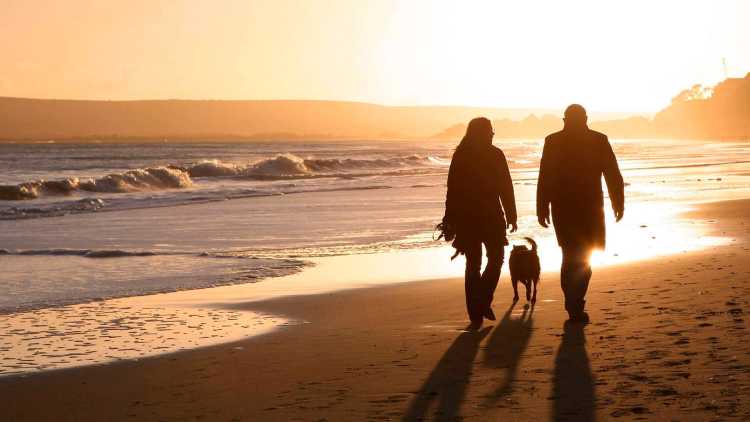 Holiday Suites Westende