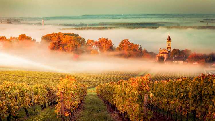 Bordeaux, Frankrijk