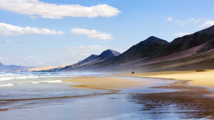 Les canaries