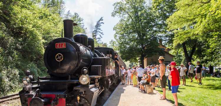 Petit train touristique - Aix les Bains - Riviera des Alpes