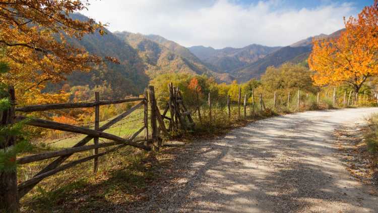 Parco Nazionale delle Foreste Casentinesi