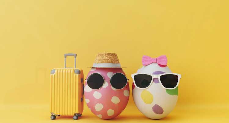 Cosa fare: 6 idee per tutti i gusti