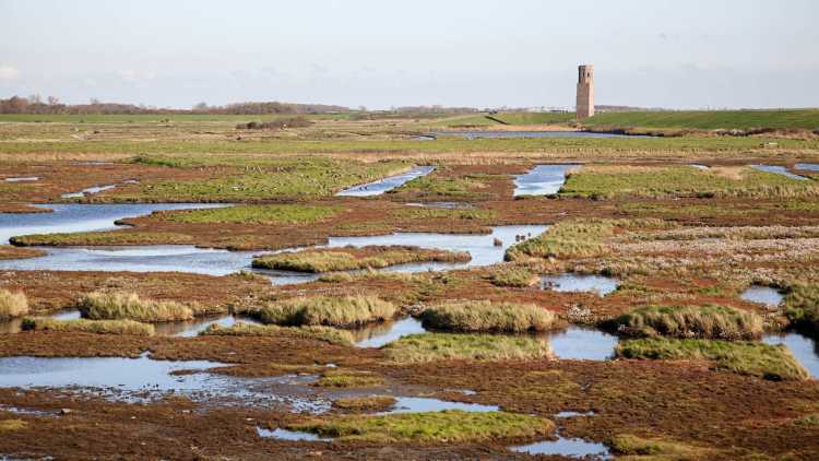 Uitzicht plassen Zeeland