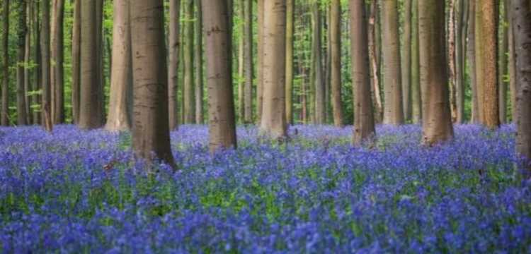 mooiste plekken in belgie, bezienswaardigheden belgie,  mooie plaatsen belgie