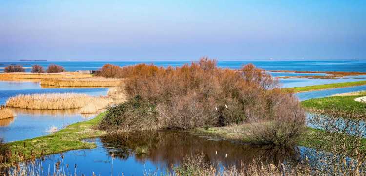 Parco del Delta del Po