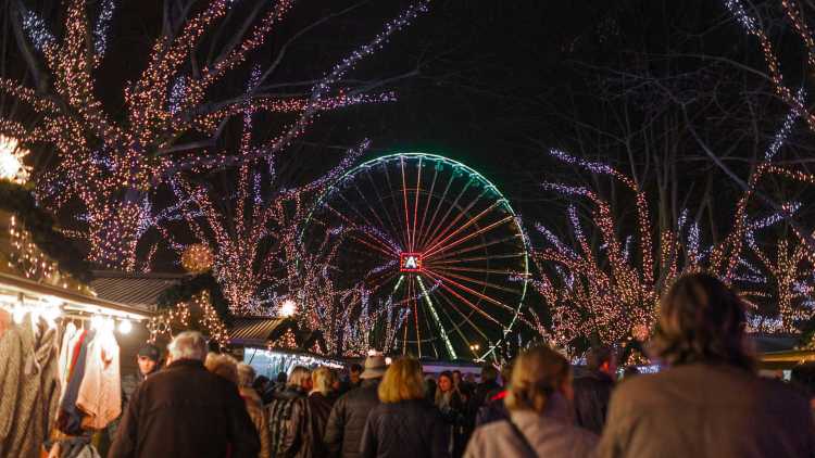 Reuzenrad, Kerstmis, Antwerpen
