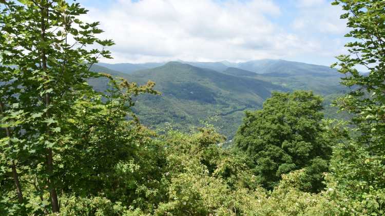 Parco dell'Appennino Tosco-Emiliano