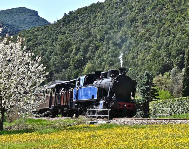 Train des Cévennes 