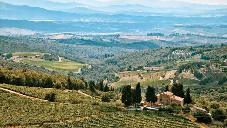 Castellina In Chianti