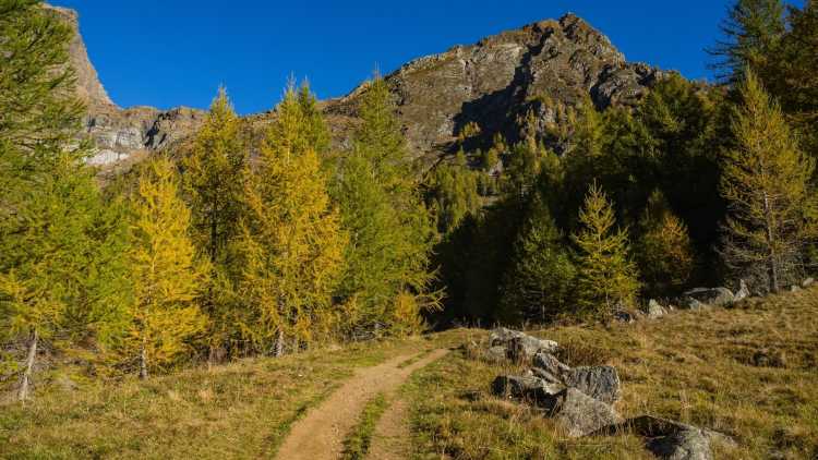 Parco Naturale dell’Alpe Veglia