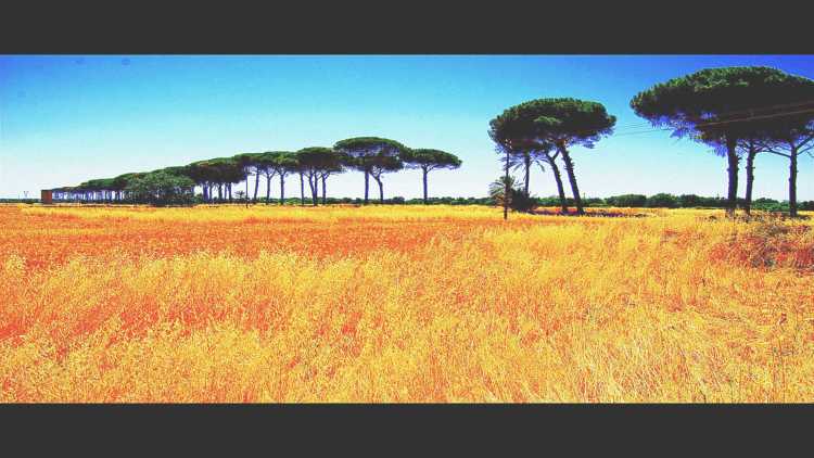 I colori del Salento