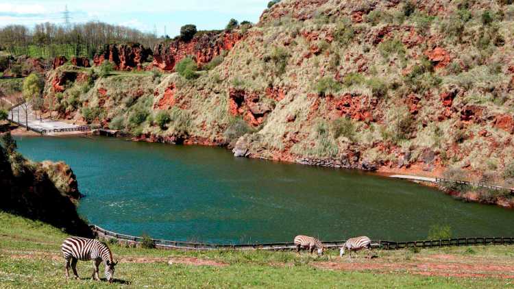 Parque de la Naturaleza Cabárceno