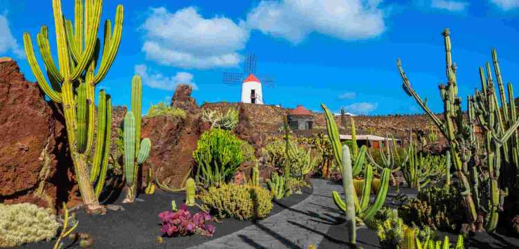 Que ver en Lanzarote