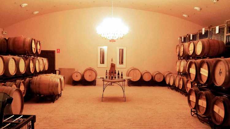 Bodega de vino
